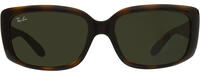 Ray-Ban 4389 11