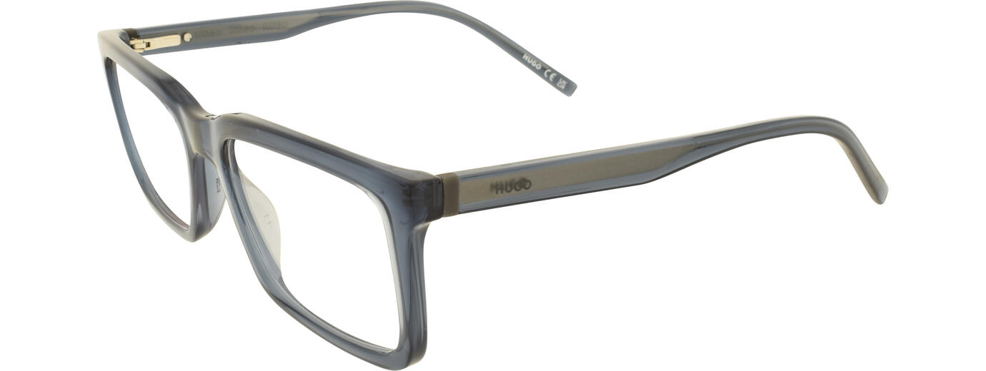 HUGO BOSS HG 1317 01