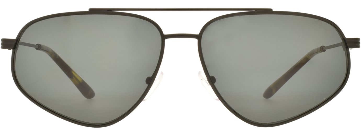 EMPORIO ARMANI SUN 0EA2156 21