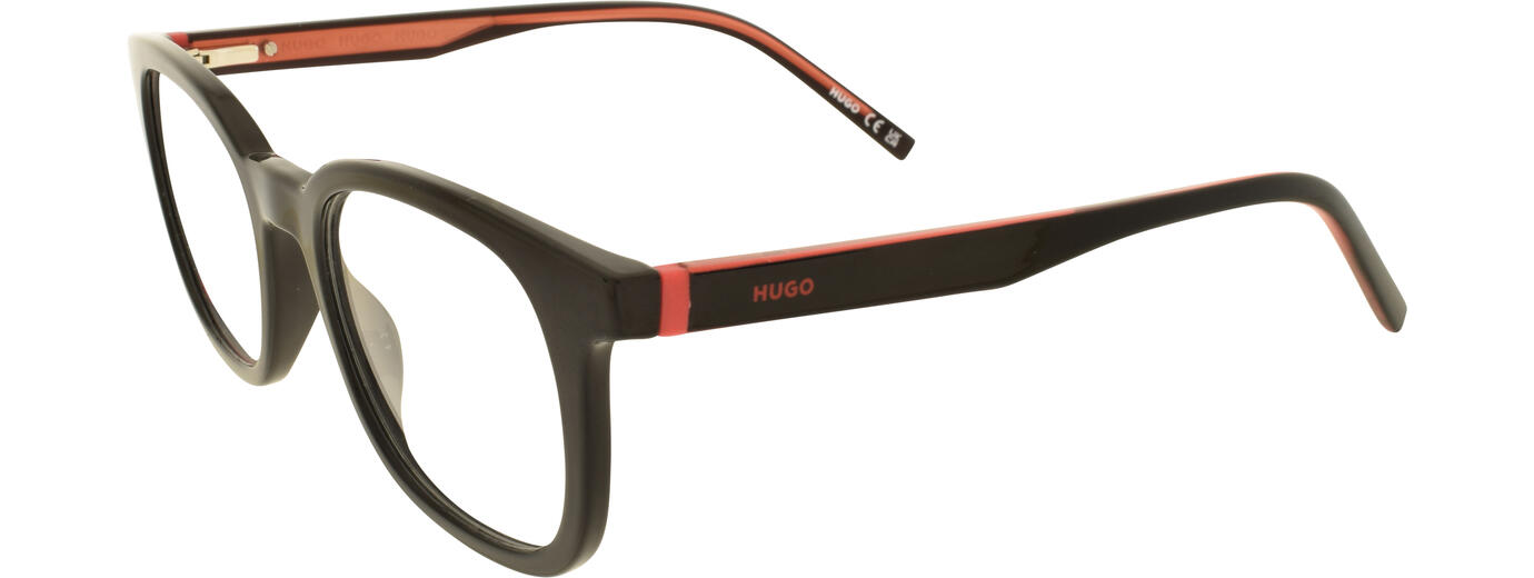 HUGO BOSS HG 1315 01