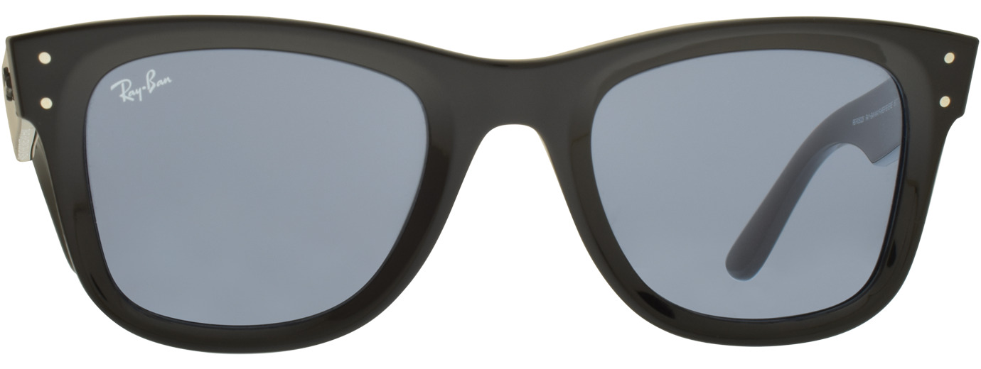 Ray-Ban 0502 21